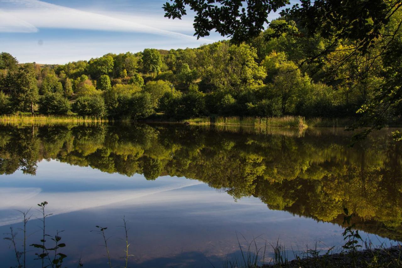 Le Lac Des Moines Condat  Екстериор снимка
