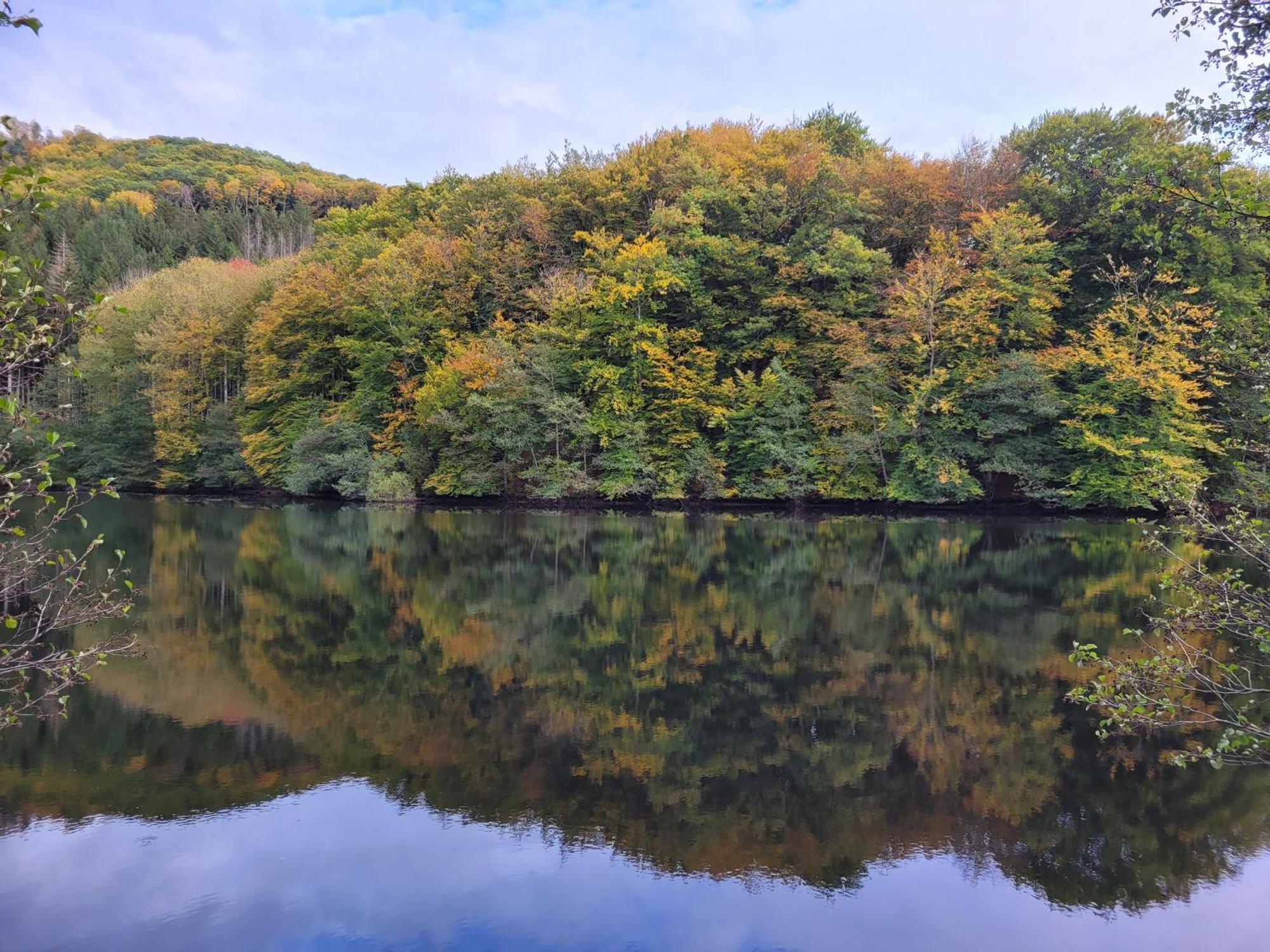Le Lac Des Moines Condat  Екстериор снимка
