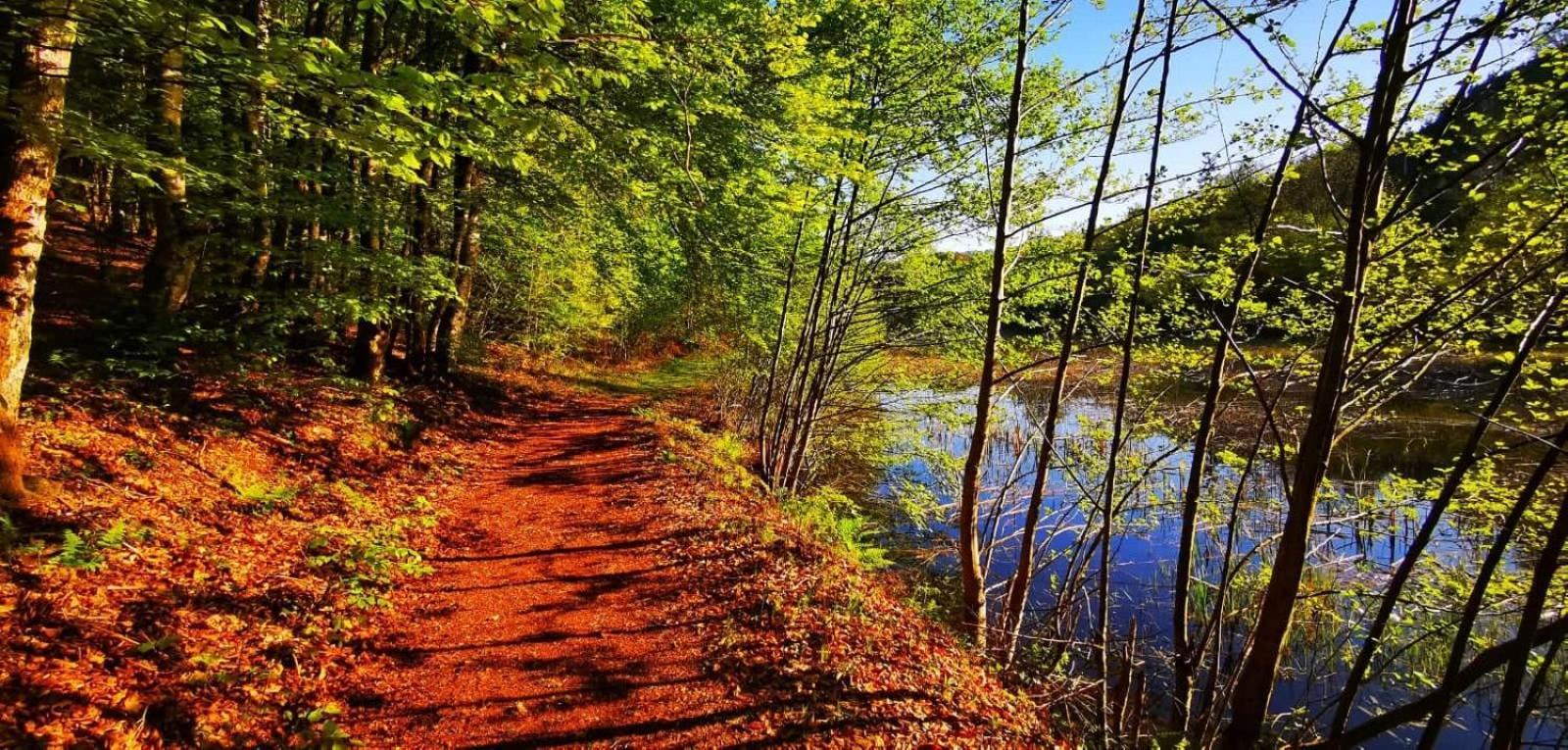 Le Lac Des Moines Condat  Екстериор снимка