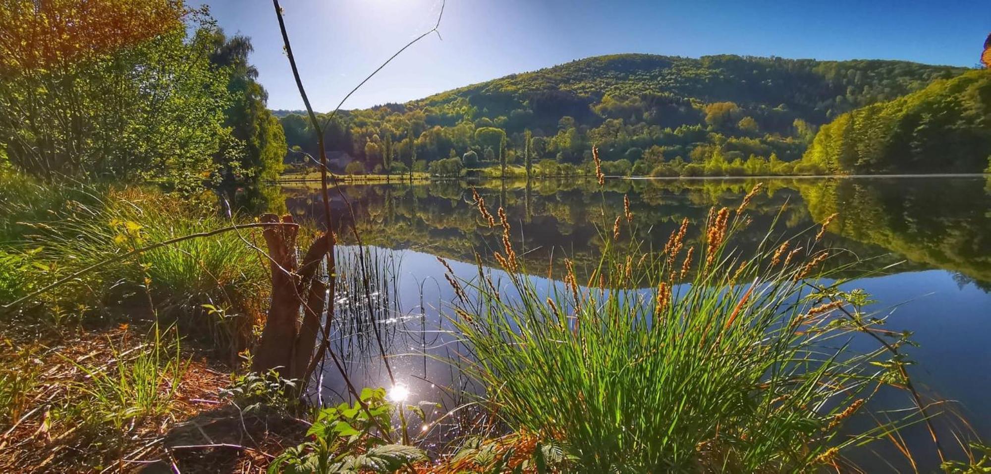 Le Lac Des Moines Condat  Екстериор снимка