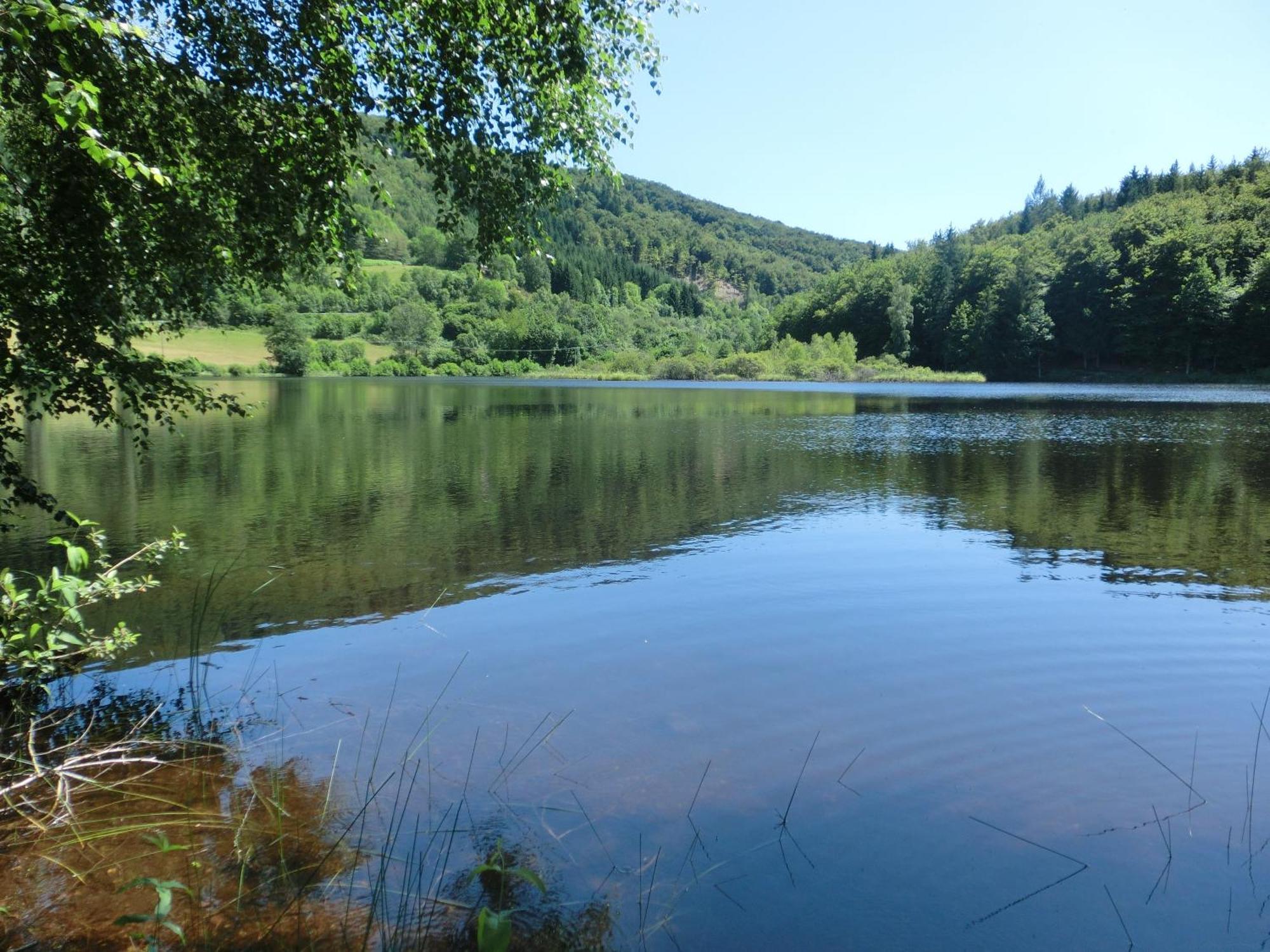 Le Lac Des Moines Condat  Екстериор снимка