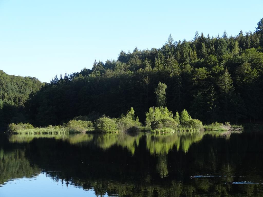 Le Lac Des Moines Condat  Екстериор снимка